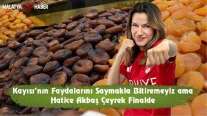 hatice akbas ceyrek finalde kayisi faydalari