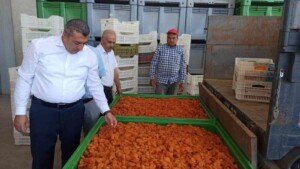 ramazan yildiz lisansli depoculuk malatya min