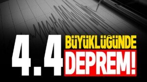 123dgfdg