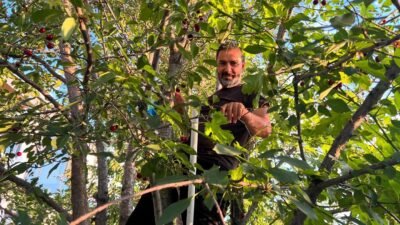 Ali Aladağ…:Malatya Olay…:
ağaçlar da bir başkan var...Yeniden Refah Partisi İl