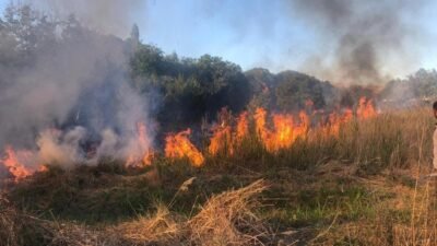 Malatya’da 4 ayrı noktada anız ve orman yangını