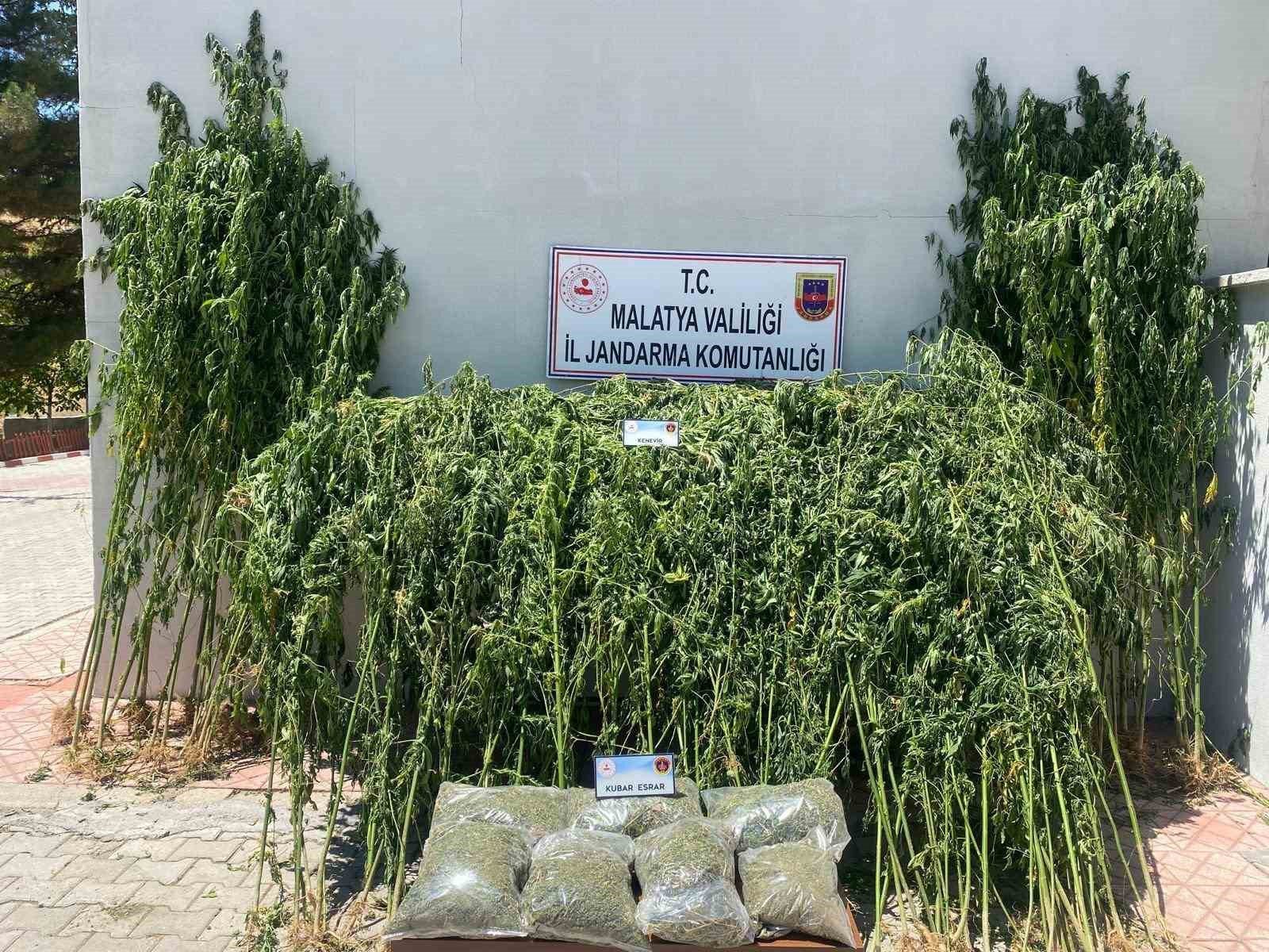Malatya’da uyuşturucu operasyonu 1