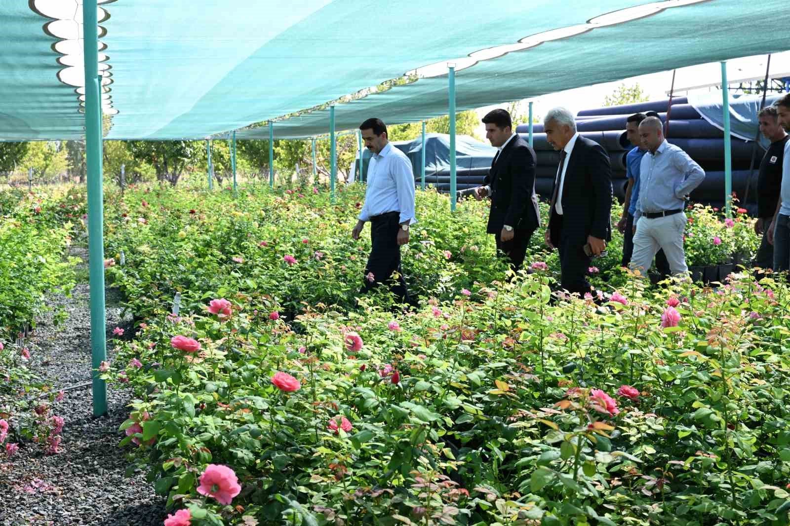 Başkan Taşkın: “Yeşil bir Battalgazi için üretiyoruz”