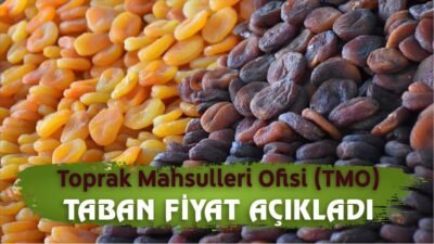 Toprak Mahsulleri Ofisi (TMO) kuru kayısıda taban fiyat açıklaması yaparak