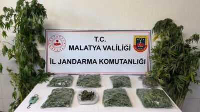 Ali Aladağ…:Malatya Olay…:
Son dakika…Sıcak haber…Malatya Jandarması tarafından yapılan bir çalışma