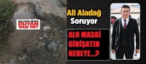 6da6a4412f2 1