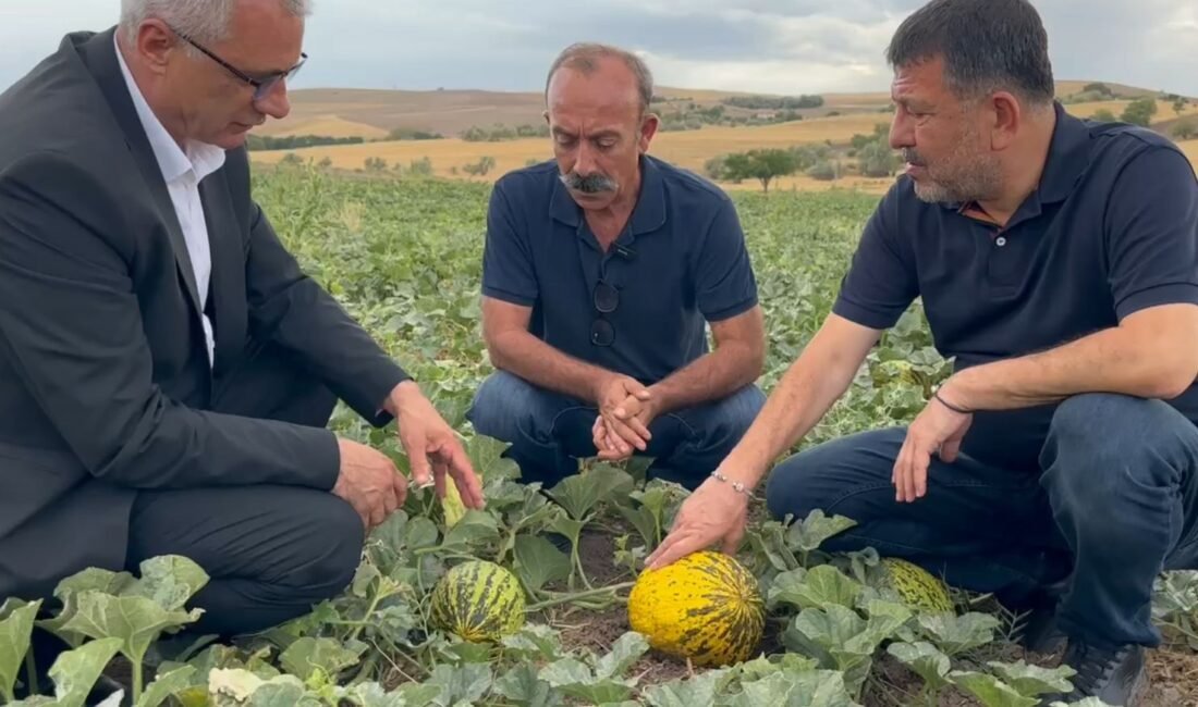 CHP’li Ağbaba: “Malatya tarımı çökmüş durumda”