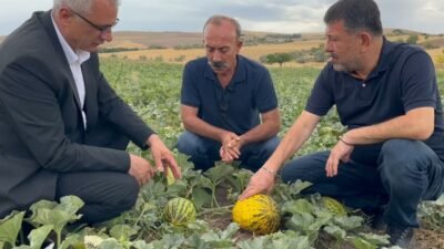 Cumhuriyet Halk Partisi (CHP) Malatya Milletvekili Veli Ağbaba, “Arguvan, her