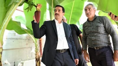 Battalgazi Belediye Başkanı Bayram Taşkın, Kadıçayırı Mahallesi’nde muz üretimi yapılan