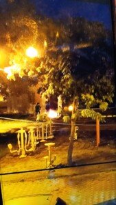 VE KOYUNOĞLU PARKI SAHİPSİZ ... 2 IMG 20241019 174946