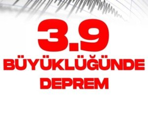 461734550n 1