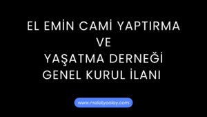 Kayip Ilani 20241129 211803 0000