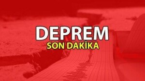 images 8