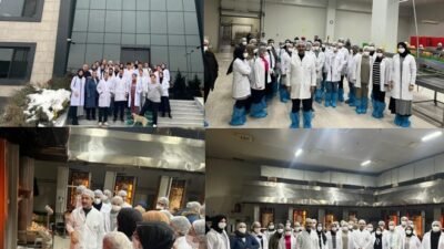 Ali Aladağ…: Malatya Olay…:
Siyasette çekildikten sonra kendisini işlerine veren Avrupa'nın