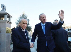 12333hceli02