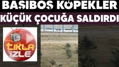 Ali Aladağ…:Malatya Olay…:
Malatya’da başıboş köpekler çocuğa saldırdı. Olay Malatya’nın Yeşilyurt