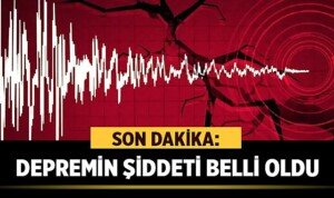 11223oldu6837
