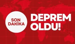 12qdep7082