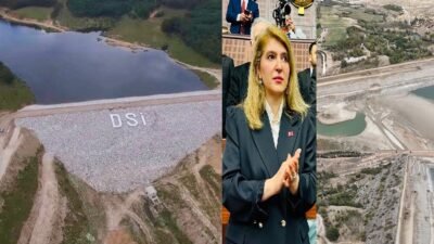 Ali Aladağ…:Malatya Olay…:
Deprem bölgesin de çiftçilerin beklediği haber...Halkın Vekili AK
