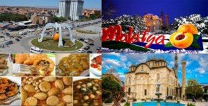 images 4 8
