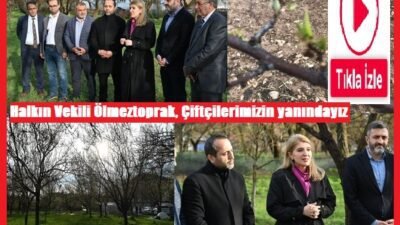 Ali Aladağ…:Malatya Olay…:
Malatya’da etkili olan dolu yağışının kayısı da hasara