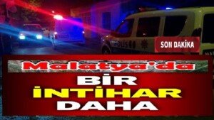 11894442Un