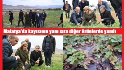 Ali Aladağ…: Malatya Olay…:
Son dakika…Sıcak haber…Halkın Vekili AK Parti Milletvekili