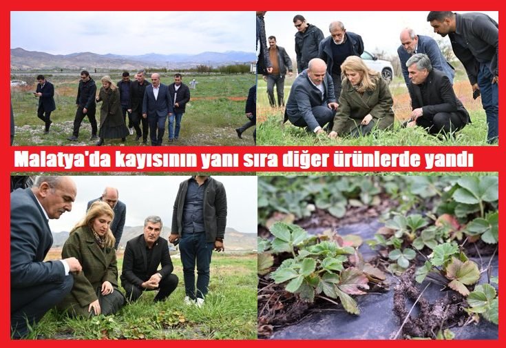 Ali Aladağ…: Malatya Olay…:
Son dakika…Sıcak haber…Halkın Vekili AK Parti Milletvekili