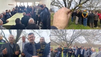 Ali Aladağ…:Malatya Olay...:
Kayısının 2014 yılından çok daha kötü bir felaket