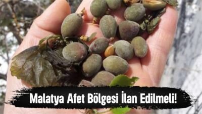 Bu yalnızca bir don değil… Bu, Malatya’nın geçim kaynağının, emeğinin,