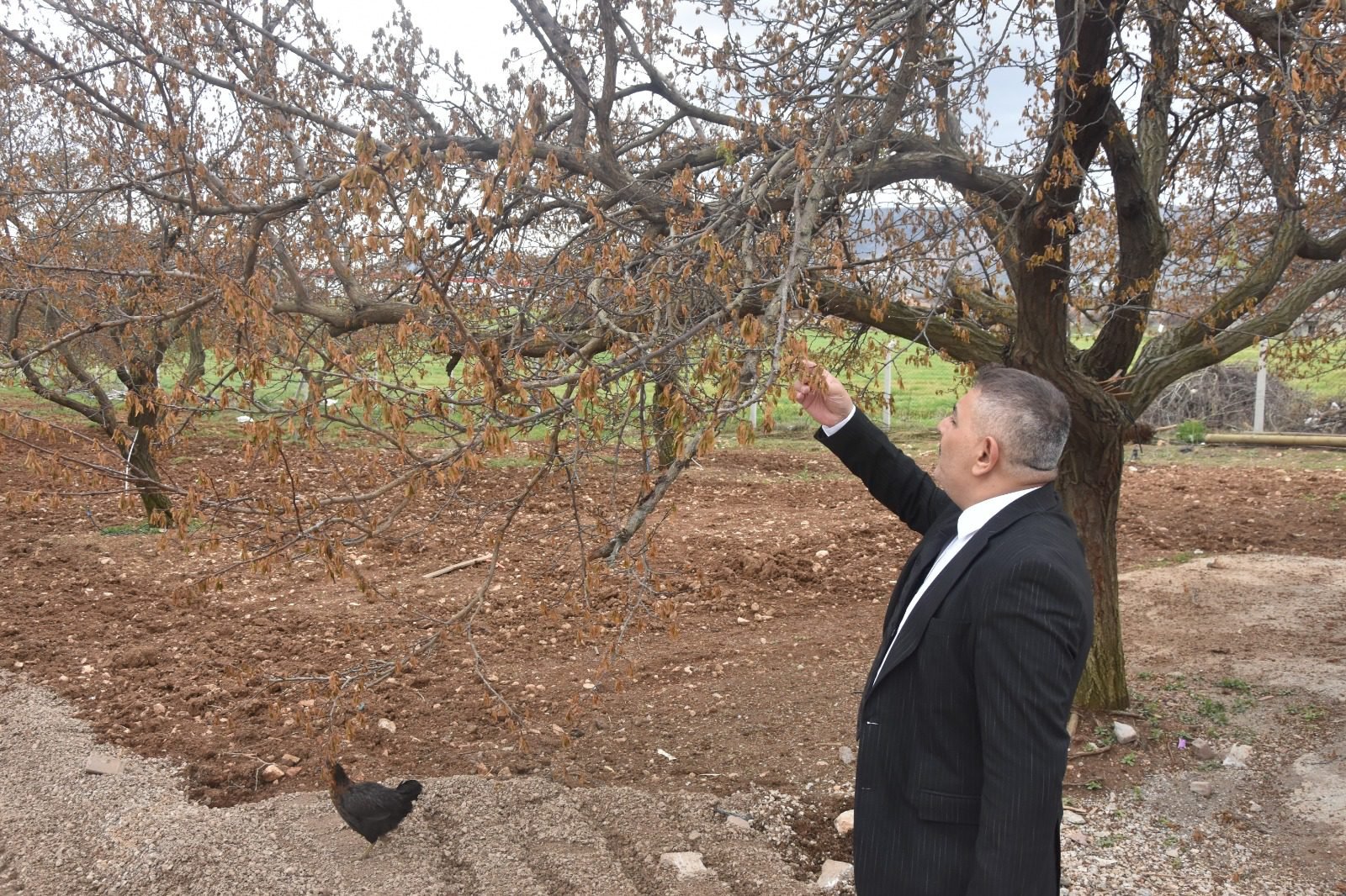 Ali Aladağ…: Malatya Olay Haber…:
12 Nisan gecesi yaşanan zirai don
