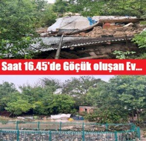 1vli7284