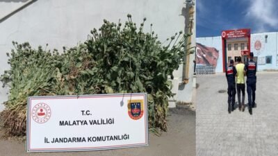 Uğur Hanbey Aladağ…:Malatya Olay Haber…:
Son dakika…Sıcak haber…Malatya İl Jandarma Komutanlığı