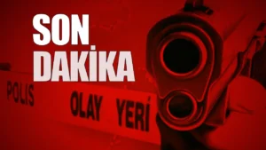 s1144silahh