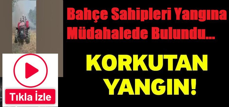 Kayısı bahçelerinde yangın 2 Kayısı bahçelerinde yangın 1