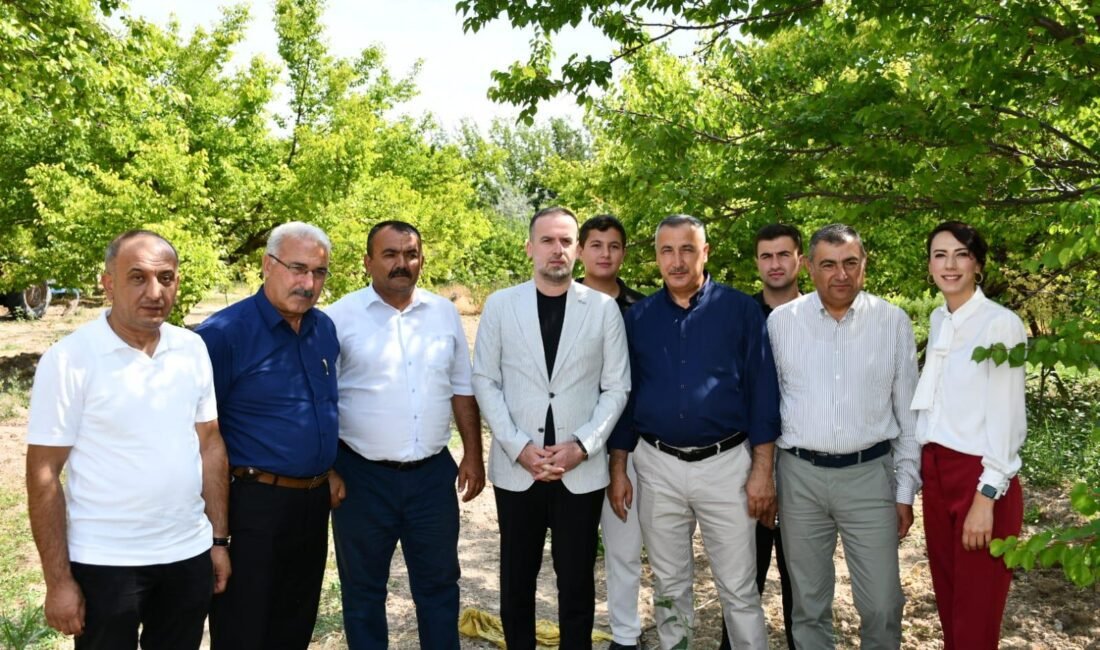 Ali Aladağ…:Malatya Olay Haber…:
MAGİNDER Başkanı Salih Karademir'den Kayısı İçin Acil