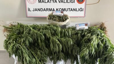 Uğur Hanbey Aladağ…:Malatya Olay Haber…:
Son dakika...Sıcak haber...Malatya Jandarması tarafından uyuşturucu