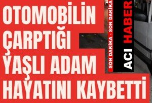 aaa3e6713465948
