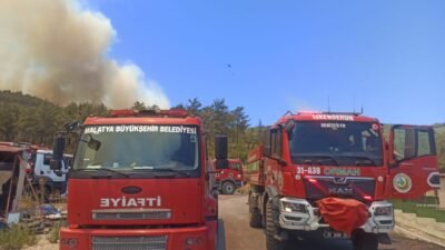 Uğur Hanbey Aladağ…:Malatya Olay Haber…:
Hatay’da orman yangınına karşı 7’den 70’e