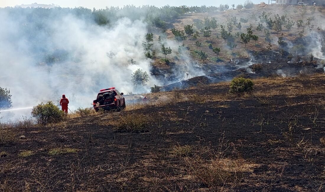 Ali Aladağ…: Malatya Olay Haber…:
Son dakika…Sıcak haber…Bu defa da Malatya’nın