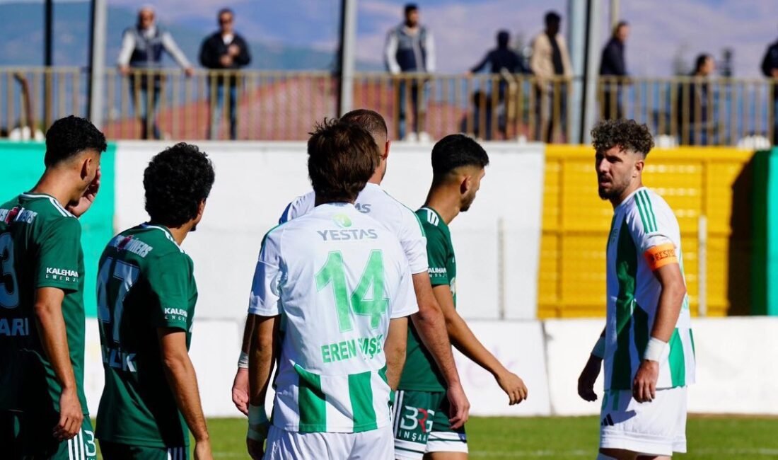 Ali Aladağ…: Malaya Olay Haber…:
Nesine 3. Lig 2. Grup'ta sezonun