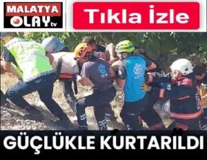 09874595 buz