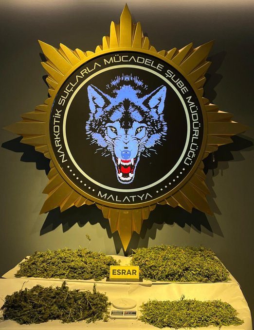 13 kilo 560 gram kenevir ele geçirildi 1