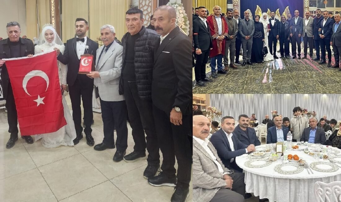 Uğur Hanbey Aladağ…: Malaya Olay Haber…:
Onlar erdi muradına ... Son