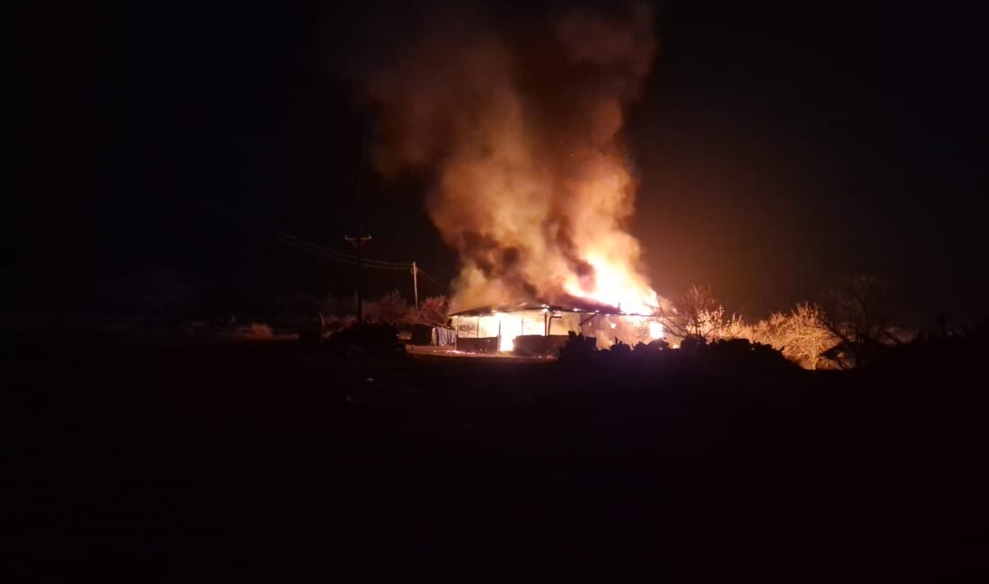 Ali Aladağ…: Malaya Olay Haber…:
Son dakika...Malatya’da gecenin sıcak haberi…Kurşunlu Mahallesin