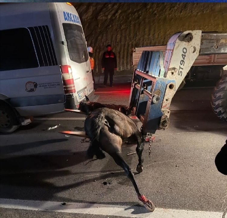 Ali Aladağ…:Malatya Olay Haber…:
Son dakika…Malatya Sultansuyu Tarım İşletmesinde ürken ve