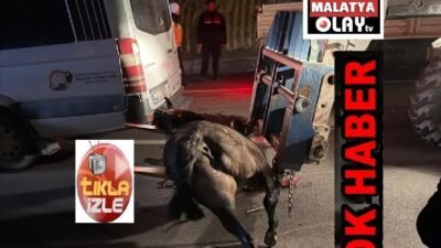 Ali Aladağ…:Malatya Olay Haber…:
Sıcak gündem, şok haber…Malatya’da güdene oturan yarış