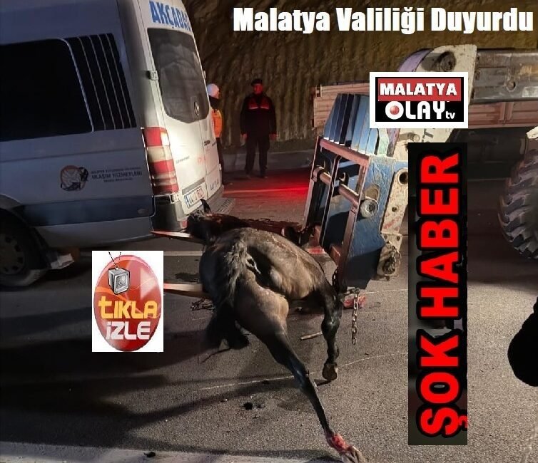 Ali Aladağ…:Malatya Olay Haber…:
Sıcak gündem, şok haber…Malatya’da güdene oturan yarış