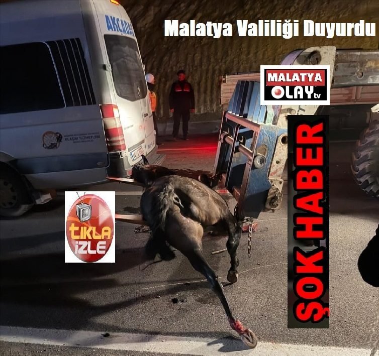 Ali Aladağ…:Malatya Olay Haber…:
Sıcak gündem, şok haber…Malatya’da güdene oturan yarış