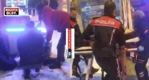 temasl442442 1